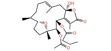 Pachyclavulariolide J